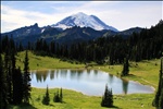 Mt. Rainier viewed from Upper Tipsoo Lake near Chinook Pass